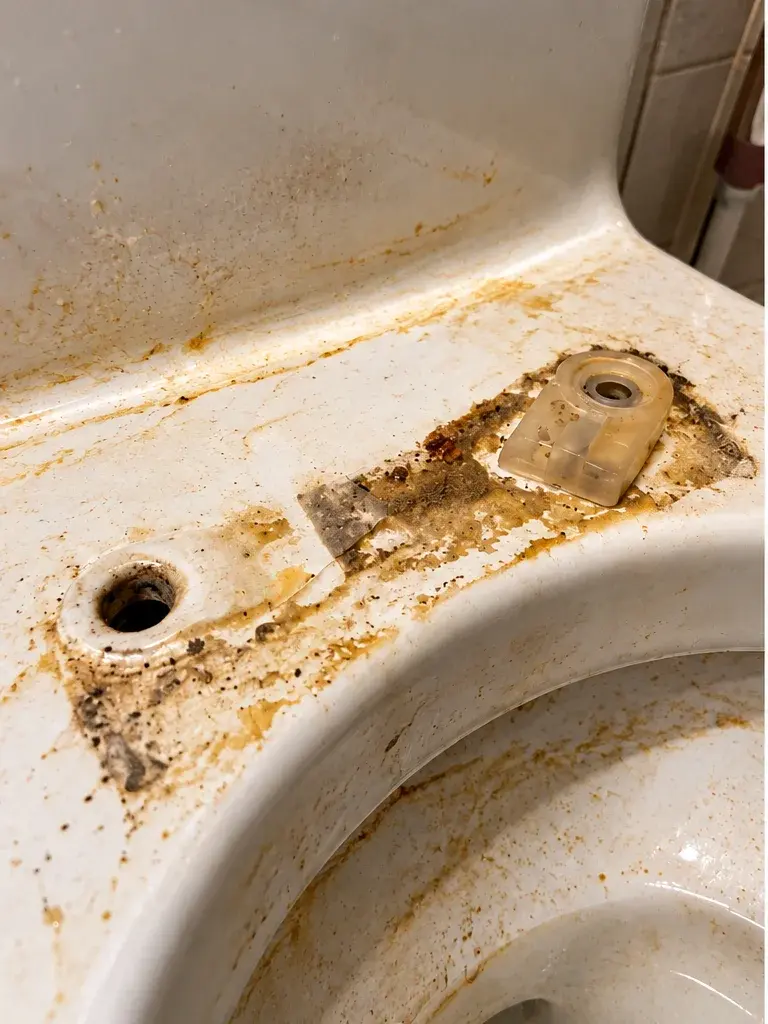 Toilette avant le ménage